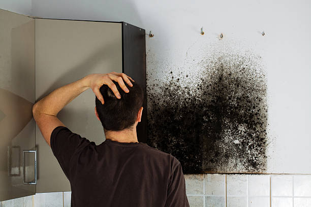 Best Bathroom Mold Remediation in Ashaway, RI